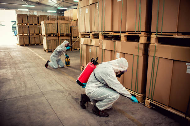 Best Best Pest Control Companies  in Sophia, WV