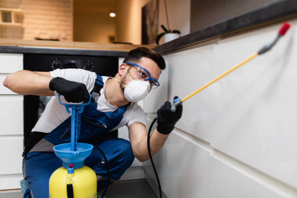 Best Affordable Pest Control Services  in Sophia, WV