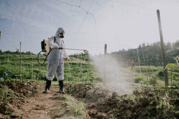 Best Exterminator Services  in Sophia, WV