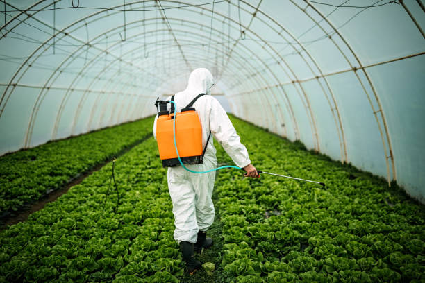 Best Local Pest Control Services  in Sophia, WV