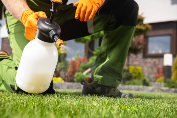 Flea Control Services in Sophia, WV