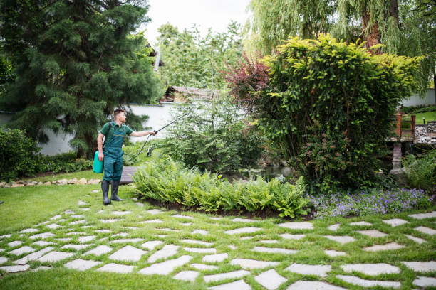 Best Exterminator Services  in Sophia, WV