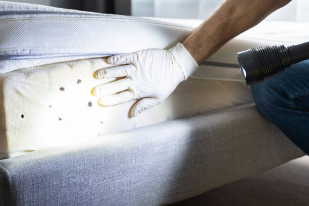 Best Commercial Pest Control Services  in Sophia, WV