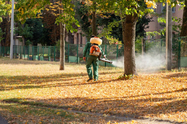 Best Best Pest Control Companies  in Sophia, WV
