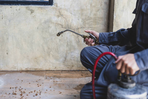 Best Pest Control for Businesses  in Sophia, WV
